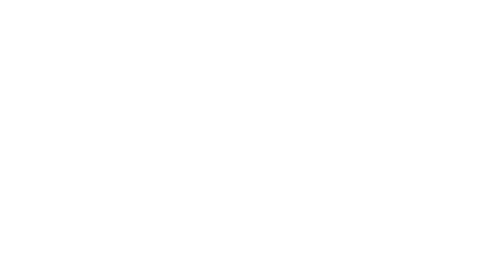 Institute of Explosives Engineers Logo | White