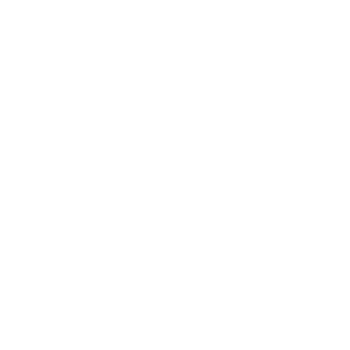 Padlock Icon