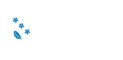 University of Wales Logo